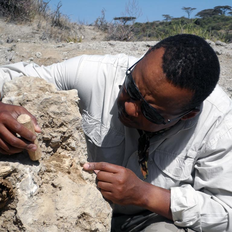 Man closely examining a small rock formation