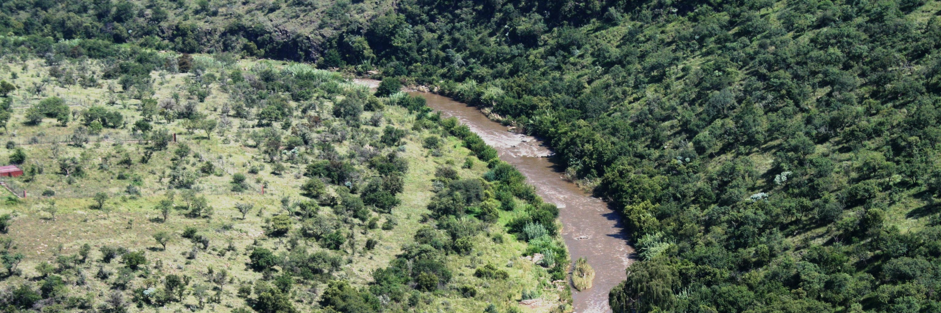 Aerial view of forested landscape
