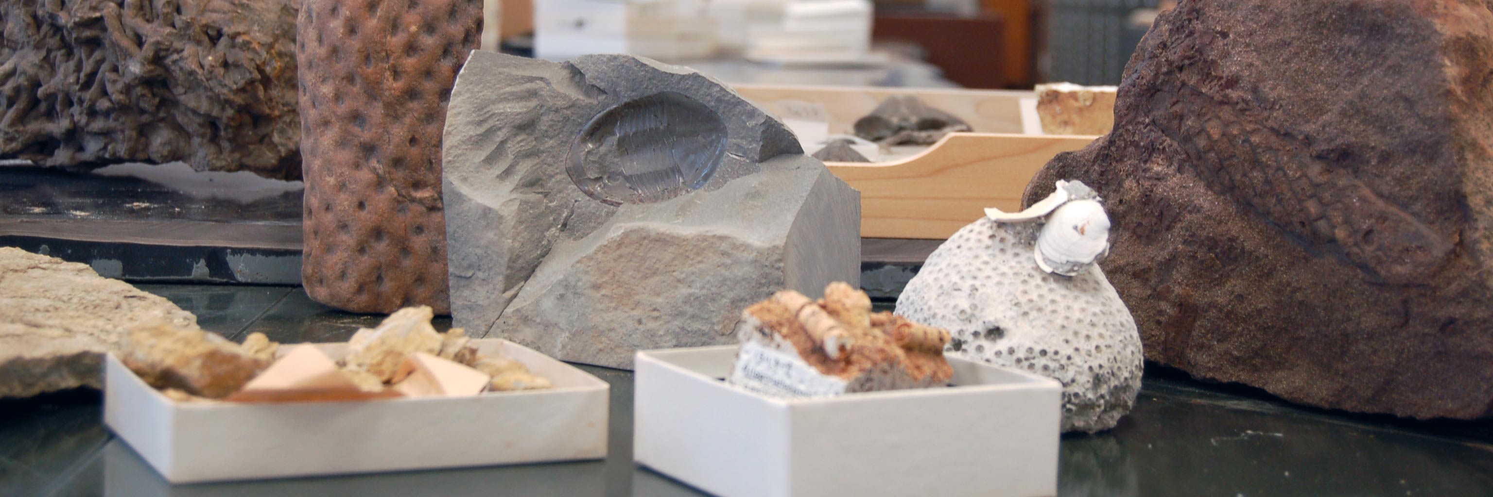 Collection of geological artifacts