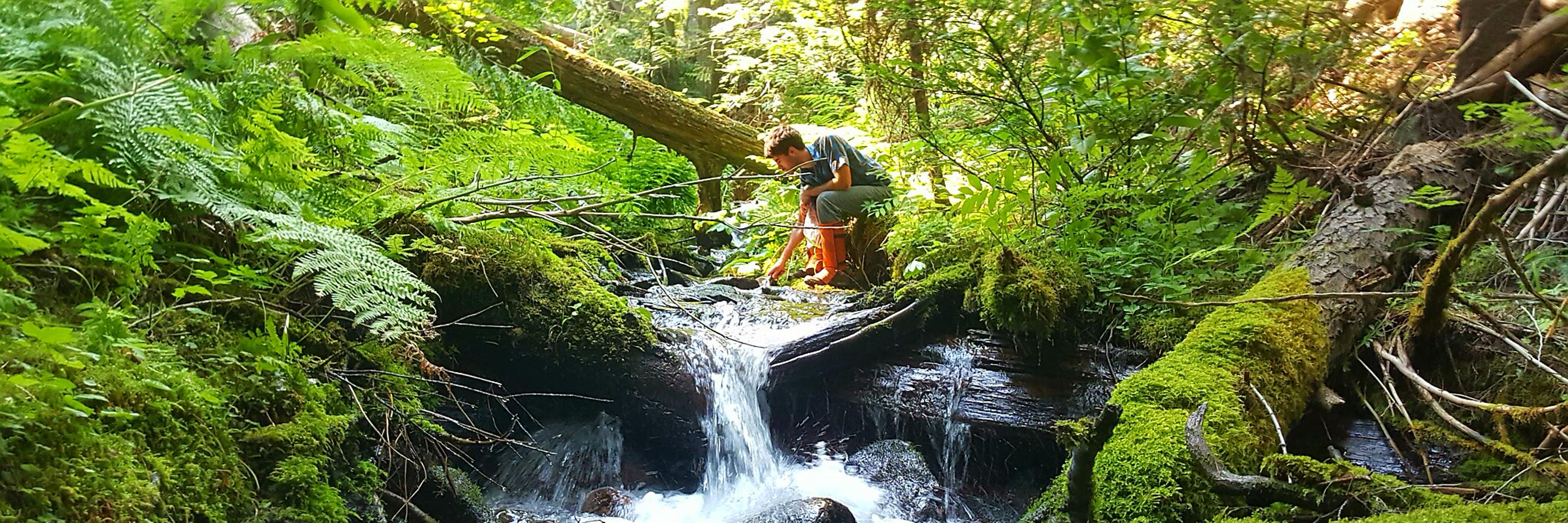 Student taking a sample from a river in the forest