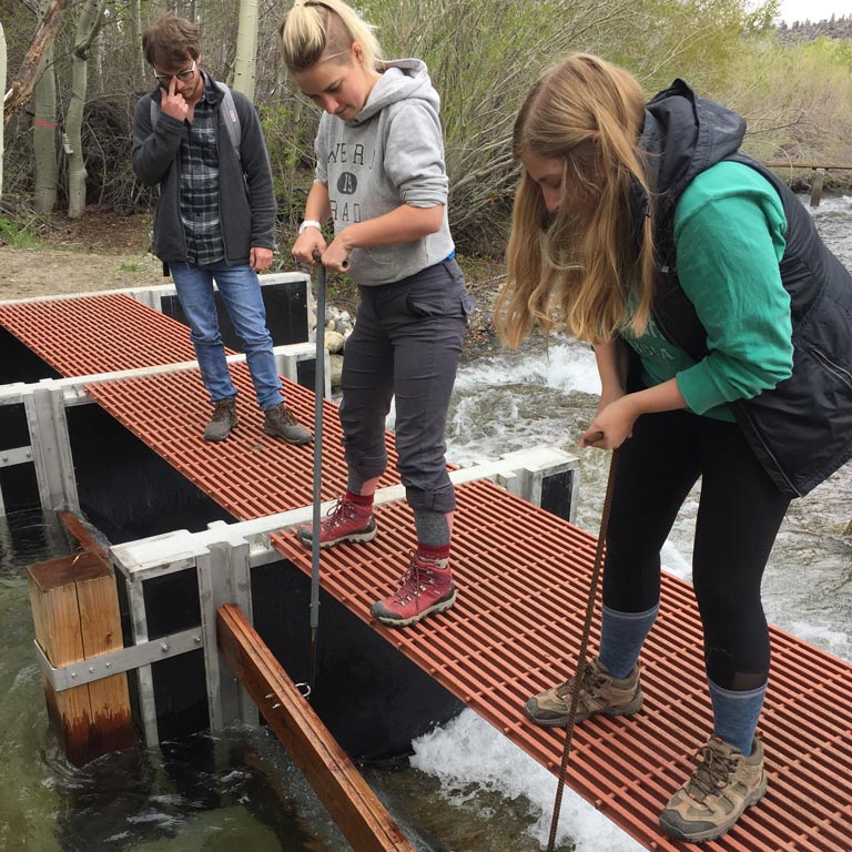 Students use equipment to conduct research on a lake