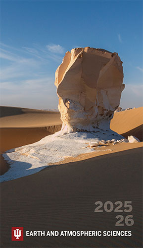 Egyptian desert rock