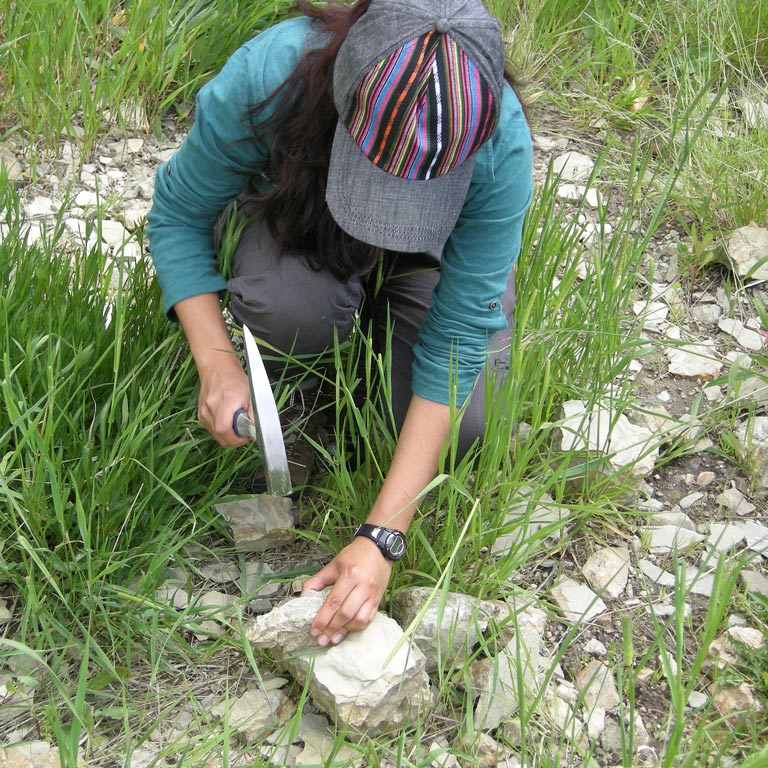 Student examining a rock out in the field