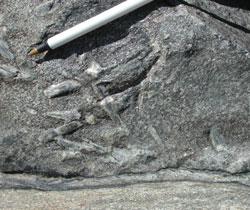 Pen pointing to a detail in a rock formation
