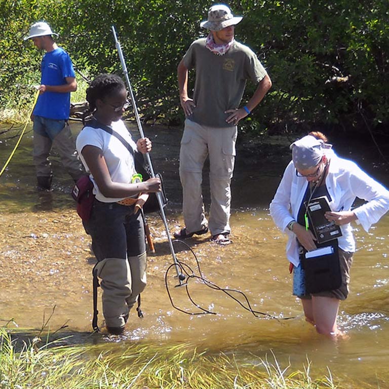 Students wading in water